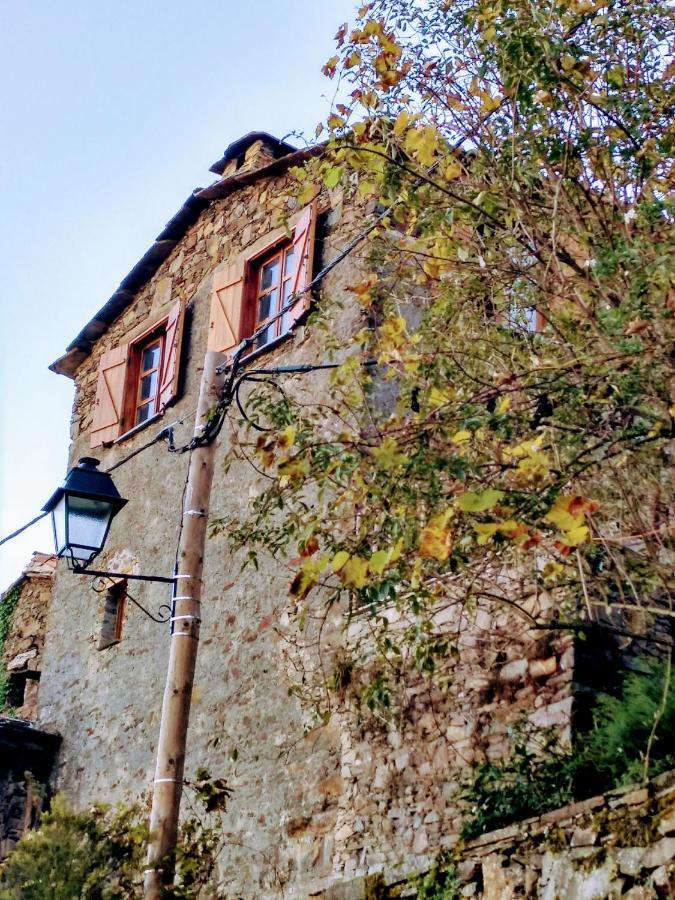 Talasnal Casa Do Cascao Lousã Eksteriør billede